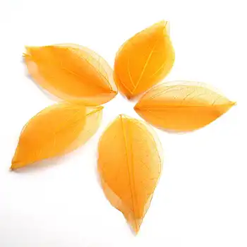 100pcs cor laranja Natural esqueleto deixa para DIY 3-7cm de Diamante Natural Folha Veia Seca da Arte do Prego Flores Material